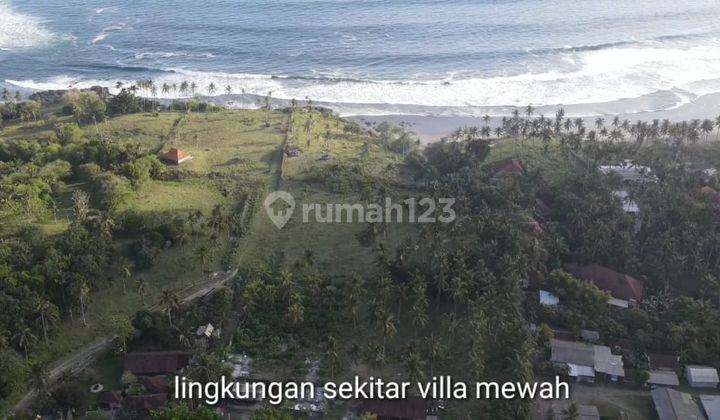 Beach Front Land Sale 16350m² In Balian Beach Tabanan 2