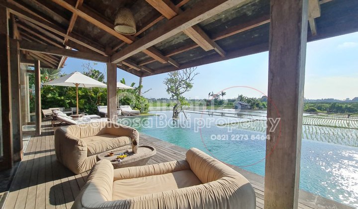 Luxury Villa with Rice Field Views in Nyanyi, Badung, Bali 1960 m2