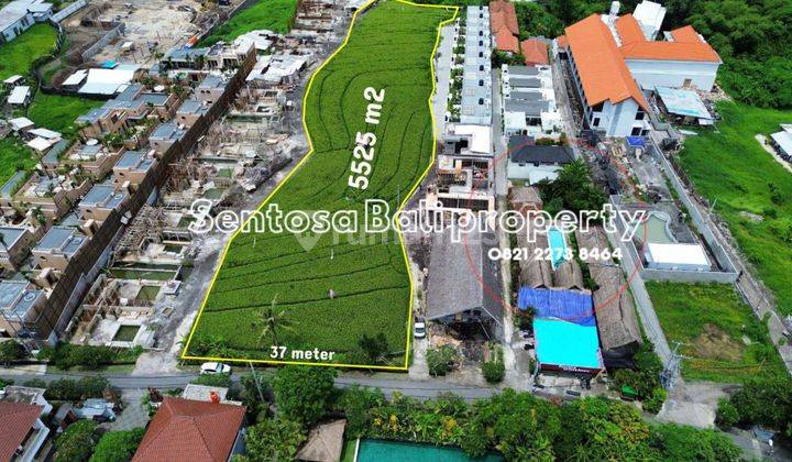 Land For Lease in Pererenan Canggu  , Lingkungan Villa 1