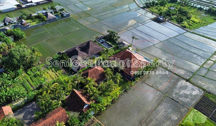 Luxury Villa with Rice Field Views in Nyanyi, Badung, Bali 1960 m2