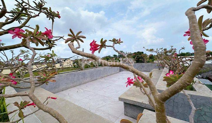 Brand New 3 Bedrooms Villa 500m² In Berawa Canggu 2