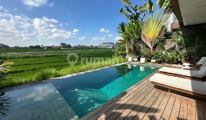Ricefield View Villa 3 bedrooms 210m2 - Cluster in Cemagi 1