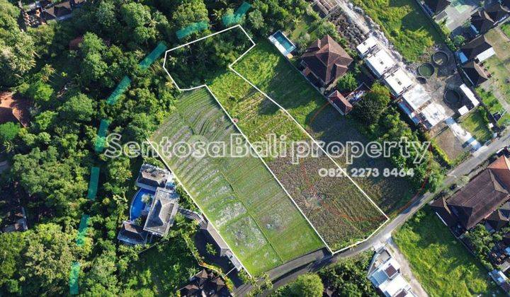 Land for lease 4285m2 - Buwit Beraban Tabanan Bali  1