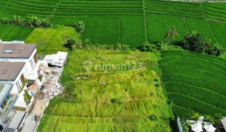 Frehhold land sale Pantai nyanyi Beraban , Tabanan  2