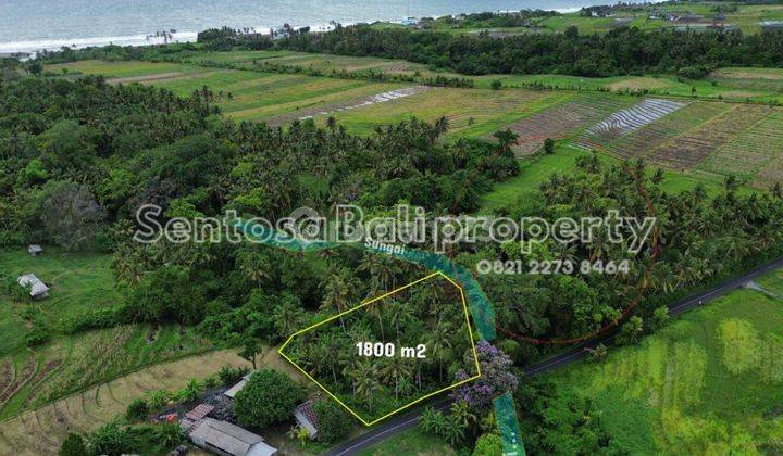 Tanah 1800 M2 di Beraban Selemadeg Tabanan  1