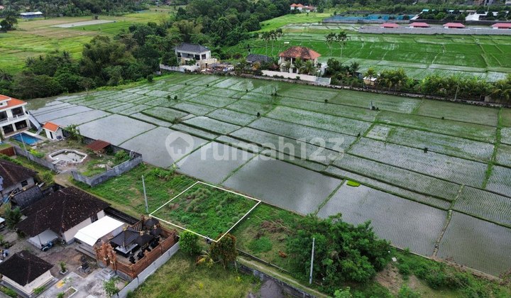 Land View rice field Green Belt - Kaba Kaba Tabanan 200m2 Land View rice field Green Belt - Kaba Kaba Tabanan 200m2