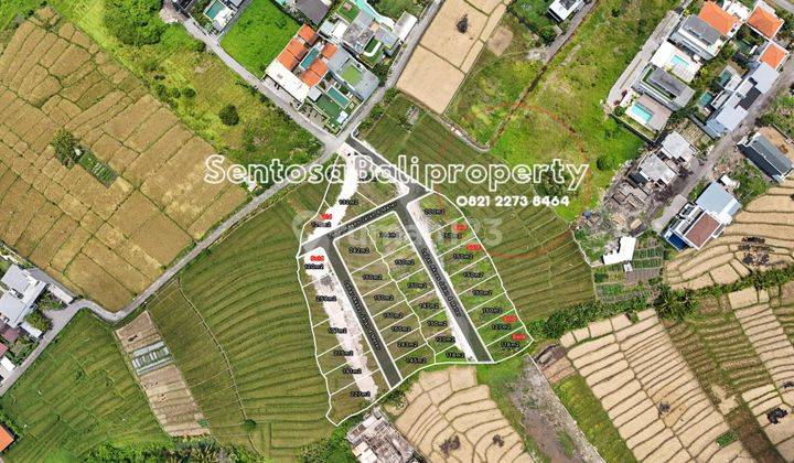 Land Plot in Cemagi Badung Bali View Rice Fields Near Beach 2