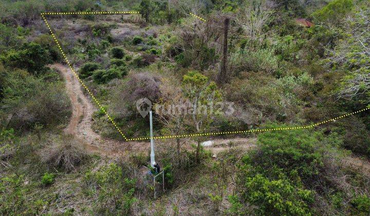 Land For Leasehold In Sawangan Nusa Dua Bali 1,28 Hectare 2