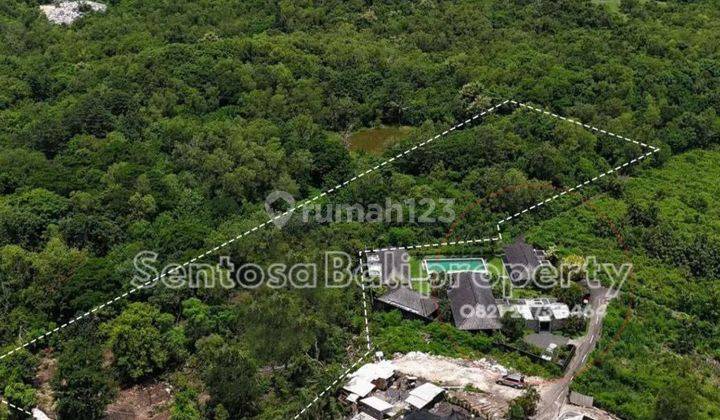 Freehold Affordable land for sale 8450sqm in Pecatu Bali 1