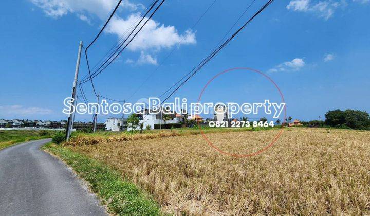 Tanah 3080m2 di Cemagi , View Sawah Dan Laut , Lingkungan Villa 2