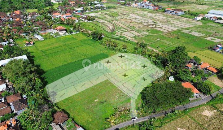 Tanah di Kaba Kaba Tabanan , View Sawah ,cocok Untuk Villa  1