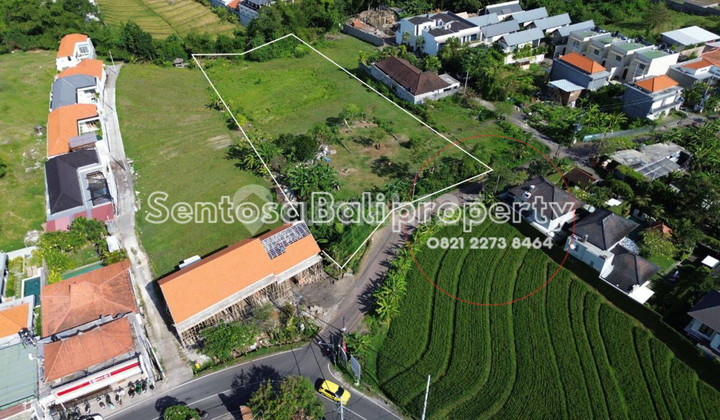 Prime land sale 50are - Munduk belah Pererenan Canggu Prime land sale 50are - Munduk belah Pererenan Canggu