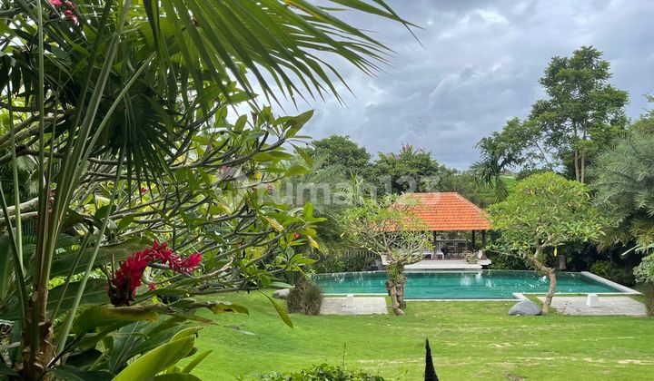 Luxury Villa with Spacious Garden Luxury Villa with Spacious Garden
