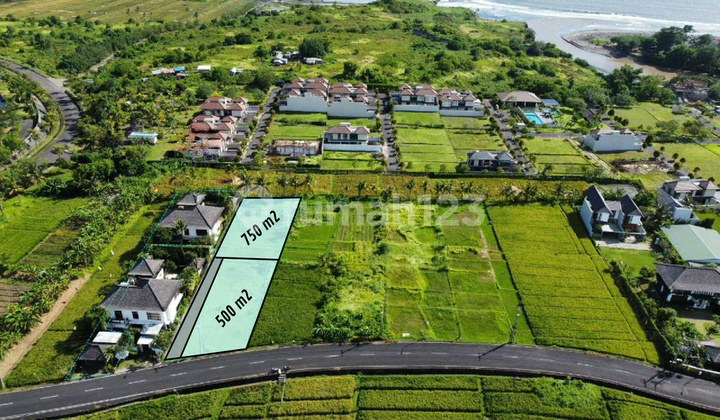 Tanah di kedungu Tabanan 500 & 750 m2 - ocean view