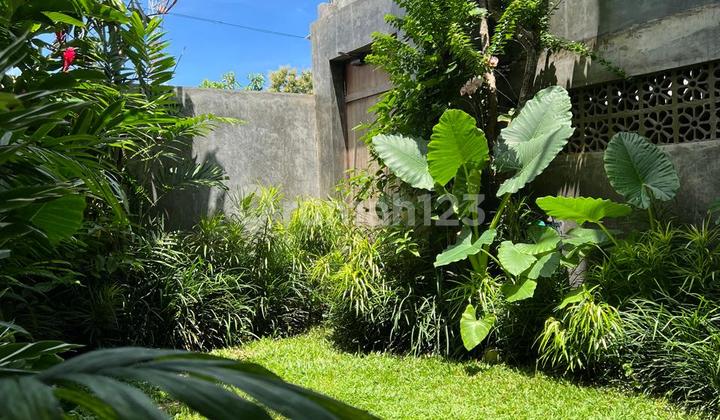 Modern House 2 Bedrooms 100m² Darmawangsa Kutuh Ungasan  2