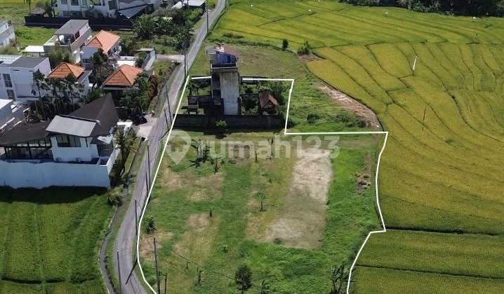 Tanahndi Pantai Mengening 3080m² - Cemagi canggu