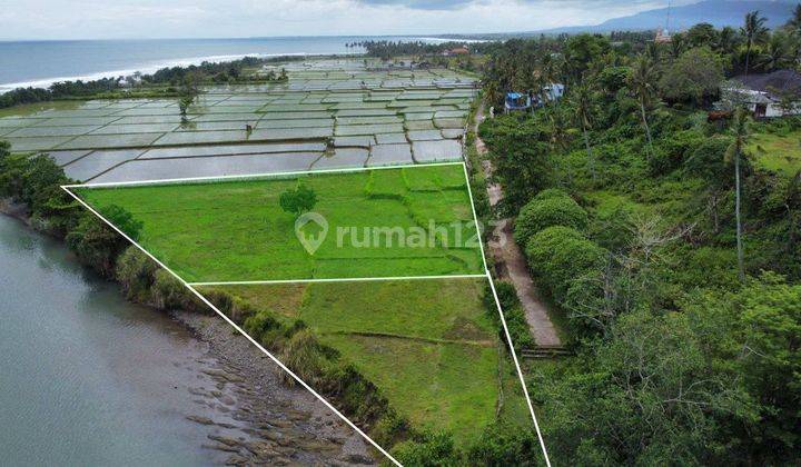 Ocean View Land Sale 5150m2 Dekat Medewi Pekutatan Jembrana 2