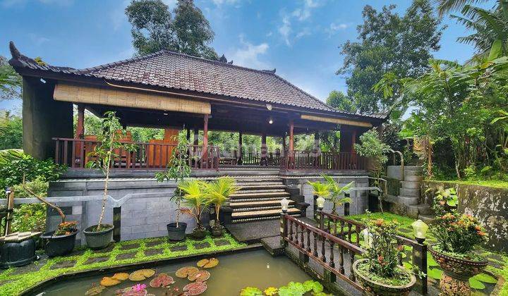 Luxury villa 3600sqm di Apuan Baturiti Tabanan  1