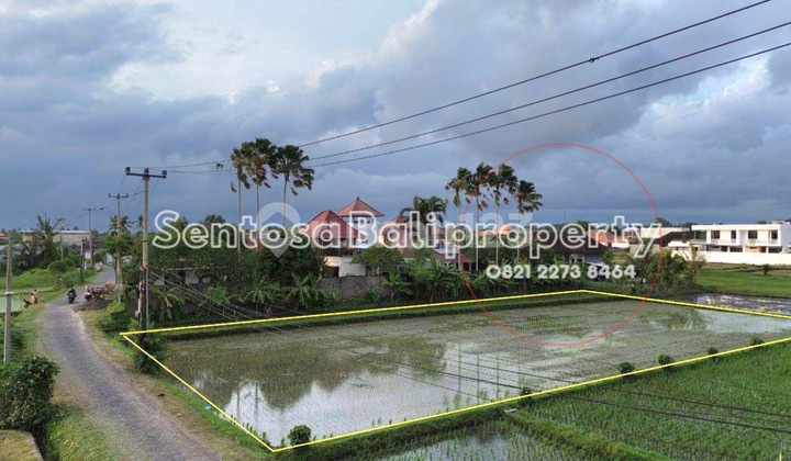 Tanah 1668m² di Pantai kedungu Tabanan Bali Tanah 1668m² di Pantai kedungu Tabanan Bali