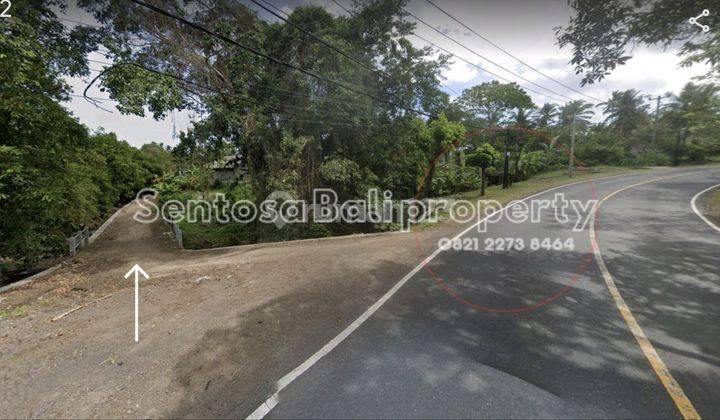 Beach Front Land 9250m2 Balian Beach Selemadeg Tabanan Bali 2