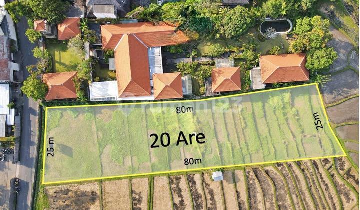 Tanah di Bumbak Umalas 20 Are - Dekat Shortcut Canggu