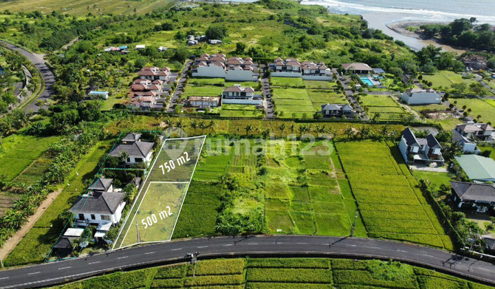 Tanah di kedungu Tabanan 500 & 750 m2 - ocean view