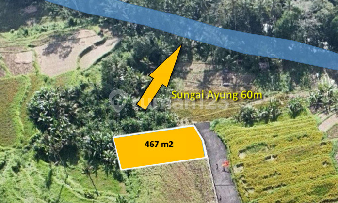 Tanah di semana Ubud 467 & 180m² ITR Pariwisata Tanah di semana Ubud 467 & 180m² ITR Pariwisata