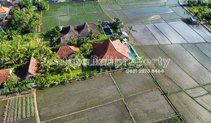 Luxury Villa View Sawah di Panyai Nyanyi Badung Bali Luxury Villa View Sawah di Panyai Nyanyi Badung Bali