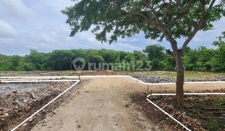 Tanah murah di sawangan Nusa dua Bali , plot terbatas Tanah murah di sawangan Nusa dua Bali , plot terbatas
