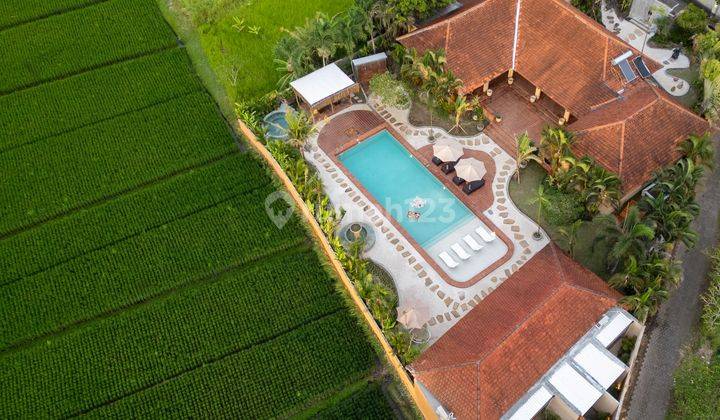 Spanish style Villa 5 bedrooms 1500m² - Kedungu Tabanan 1