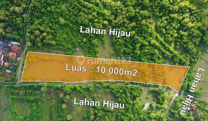 Tanah Ocean View Luas 1 Hectar di Ungasan , Cocok Untuk di Kavling 1