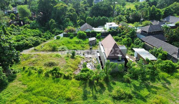 Cheap land in Pererenan Canggu 1230m2 - 5 minutes to the Beach