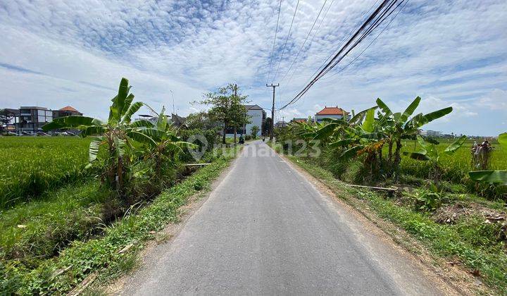 Land For Lease 2400sqm In Cemagi Canggu Bali 2