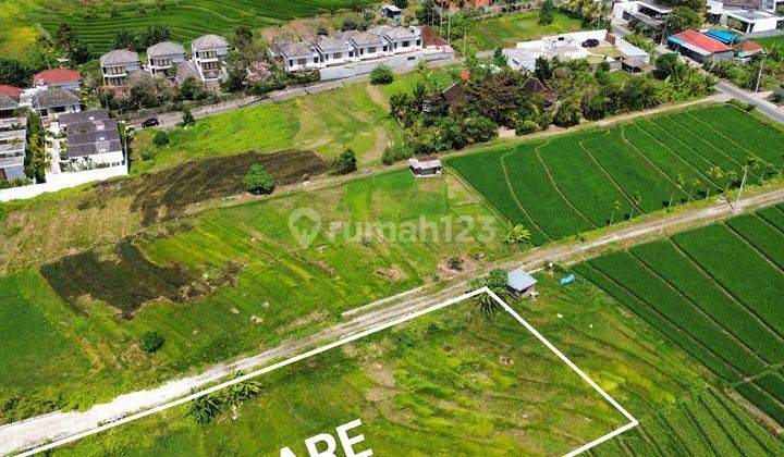 Tanah 1800m² di Pantai Nyanyi Beraban , Cocok Untuk Villa 2