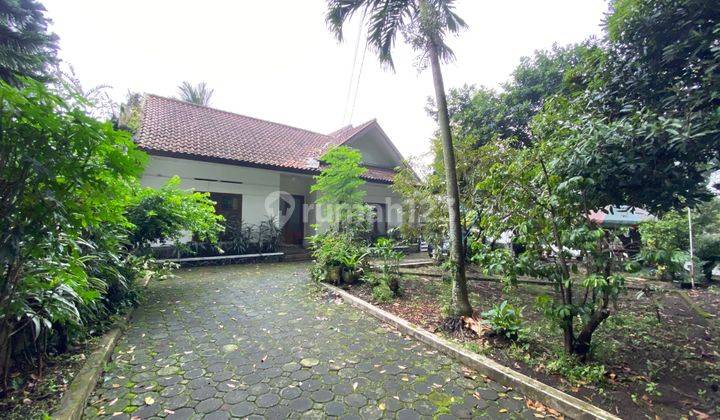 Rumah Bangunan Belanda Bagus Buat Cafe/ Coffee Shop di Sukajadi 2
