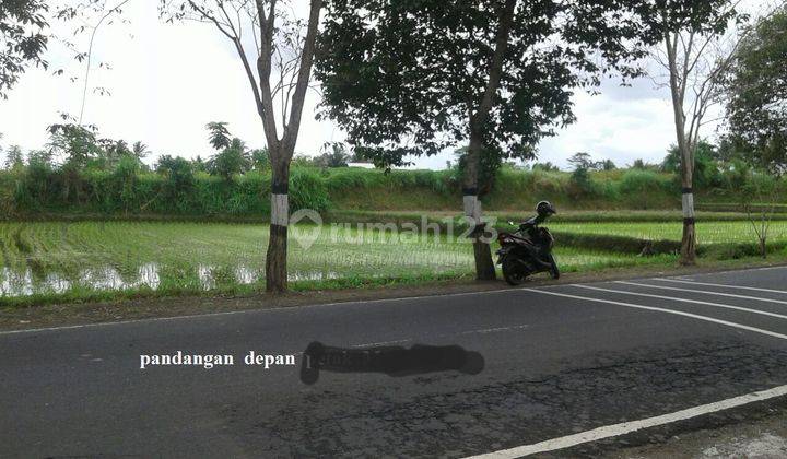 Cheap Strategic Land on Highway in Badung Bali Mixed Commercial & Residential Zone 1