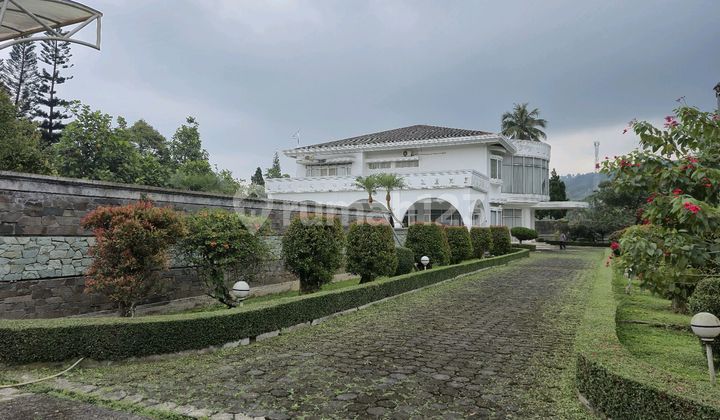 Luxury Furnished Villa Near Cimory, Jl. Raya Puncak Cisarua Bogor