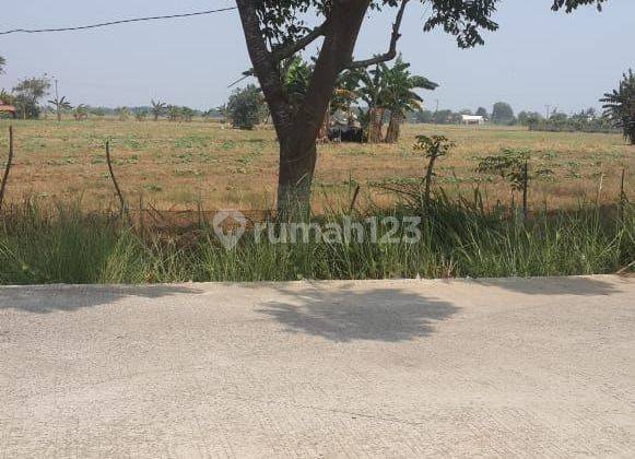 Dijual Tanah Di Muara Gembong Bekasi, Cocok untuk Perumahan  1