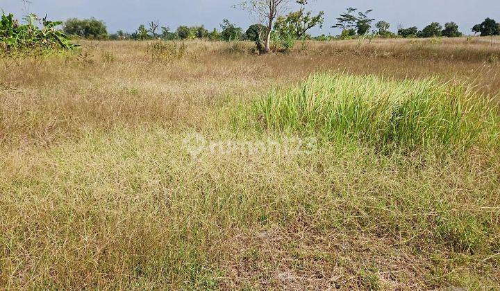 Tanah Raya Mantup Lamongan Strategis Bisa Langsung Dibangun 2