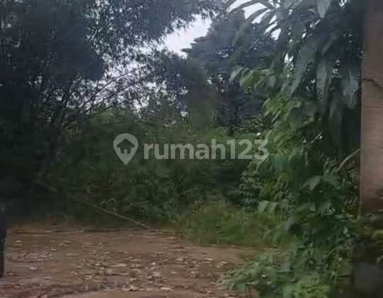 For Rent Warehouse in Cibinong Land 7700 Building 7500 20ft Container Access Suitable for Industry.