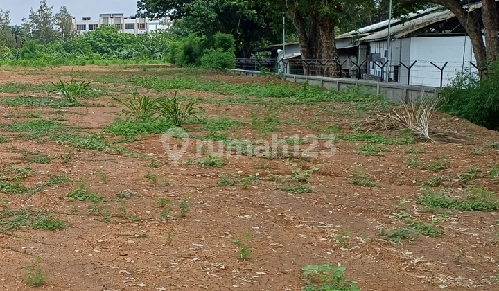 Dijual Tanah Daan Mogot Raya Km 17 Jakarta Barat Lt 4 Ha Akses Cont 40 Feet Dijual Tanah Daan Mogot Raya Km 17 Jakarta Barat Lt 4 Ha Akses Cont 40 Feet