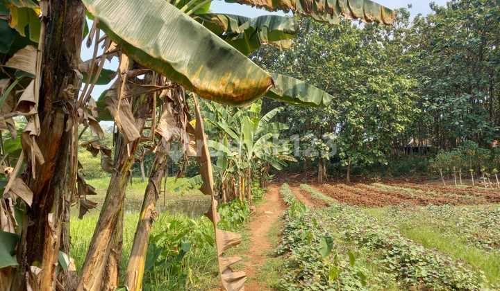 Dijual Tanah Kaw Industri Bajamas Balaraja LT 1.8 Ha Akses Cont 40 Feet Keluar Tol Balaraja Barat Lgs Lokasi Dijual Tanah Kaw Industri Bajamas Balaraja LT 1.8 Ha Akses Cont 40 Feet Keluar Tol Balaraja Barat Lgs Lokasi