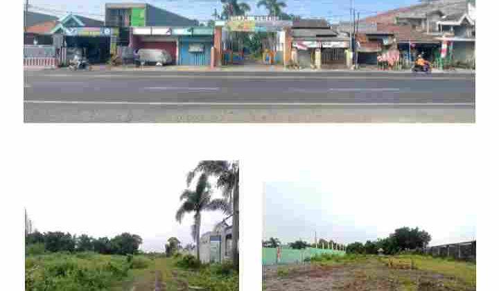 Tanah Mojokerto Murah Nol Jalan 1