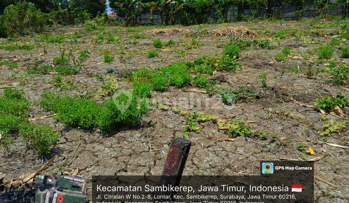 Tanah nempel Citraland Surabaya