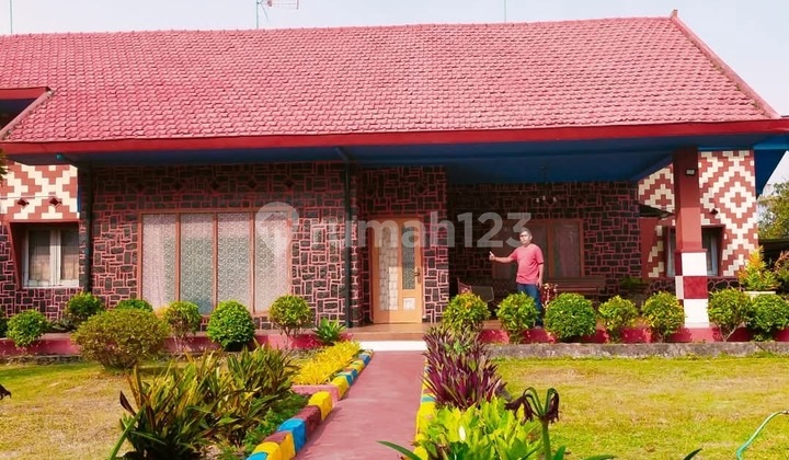 Bukit Berbunga, Malang. Near tourist attractions. Bukit Berbunga, Malang. Near tourist attractions.