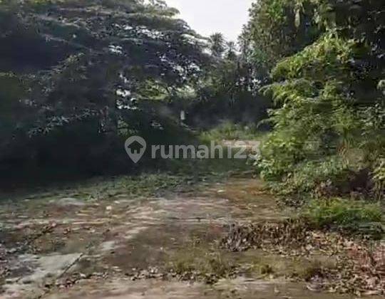 Pabrik Gudang Jatake Cikupa Tangerang Hitung Tanah Murah 2