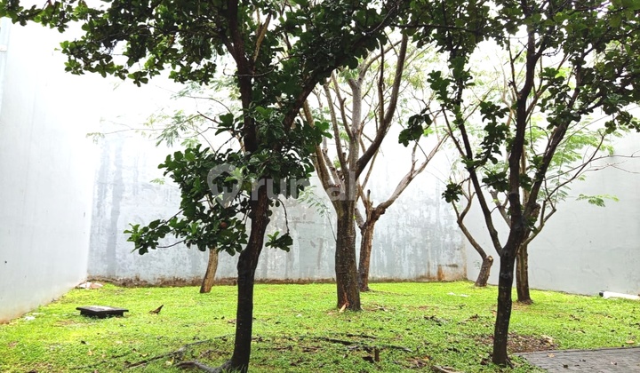 BSD Greenwich Whelford Plot Facing Park Tangerang