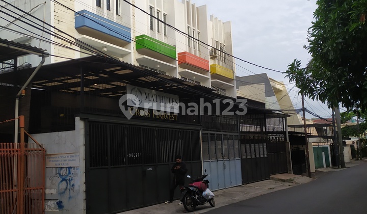 Ruko Tiga Lantai Dengan Akses Jalan Lebar, Taman Cosmos 2