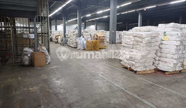 Miami Kapuk Kamal Cheap Warehouse, Land Area 5100, Building Area 4068 (3 Floors), 40ft Container Access, West Jakarta (SL) Miami Kapuk Kamal Cheap Warehouse, Land Area 5100, Building Area 4068 (3 Floors), 40ft Container Access, West Jakarta (SL)