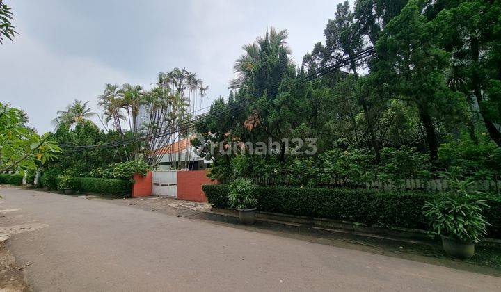 Dijual rumah asri ala vila di kawasan bintaro jakarta selatan 2